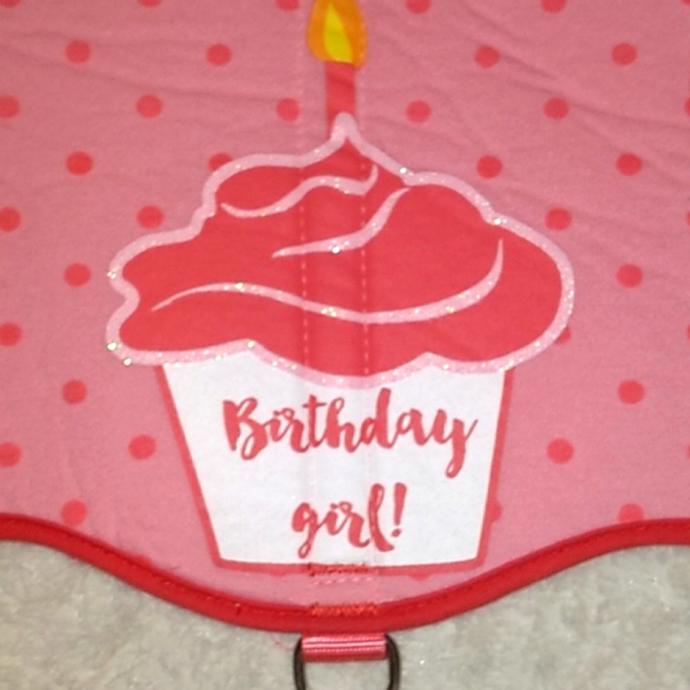 Birthday Girl harness
